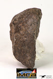 09013 - Almost Complete NWA Unclassified Ordinary Chondrite Meteorite 117.2 g