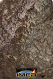 09014 - Almost Complete NWA Unclassified Ordinary Chondrite Meteorite 203.7 g