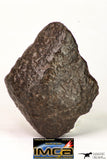 09014 - Almost Complete NWA Unclassified Ordinary Chondrite Meteorite 203.7 g
