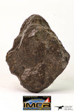09014 - Almost Complete NWA Unclassified Ordinary Chondrite Meteorite 203.7 g