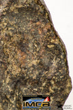 09015 - Almost Complete NWA Unclassified Ordinary Chondrite Meteorite 188.2 g