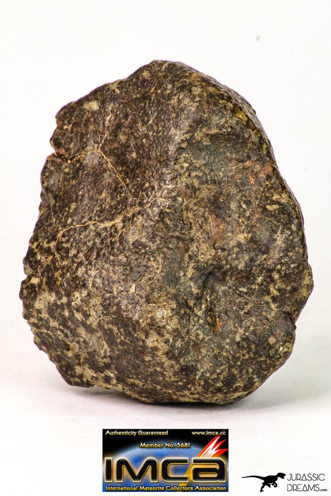 09015 - Almost Complete NWA Unclassified Ordinary Chondrite Meteorite 188.2 g