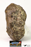 09015 - Almost Complete NWA Unclassified Ordinary Chondrite Meteorite 188.2 g