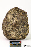 09015 - Almost Complete NWA Unclassified Ordinary Chondrite Meteorite 188.2 g
