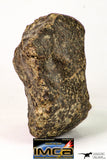 09015 - Almost Complete NWA Unclassified Ordinary Chondrite Meteorite 188.2 g