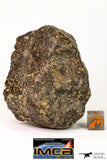 09015 - Almost Complete NWA Unclassified Ordinary Chondrite Meteorite 188.2 g