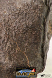 09016 - Almost Complete NWA Unclassified Ordinary Chondrite Meteorite 124.6 g