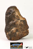 09016 - Almost Complete NWA Unclassified Ordinary Chondrite Meteorite 124.6 g