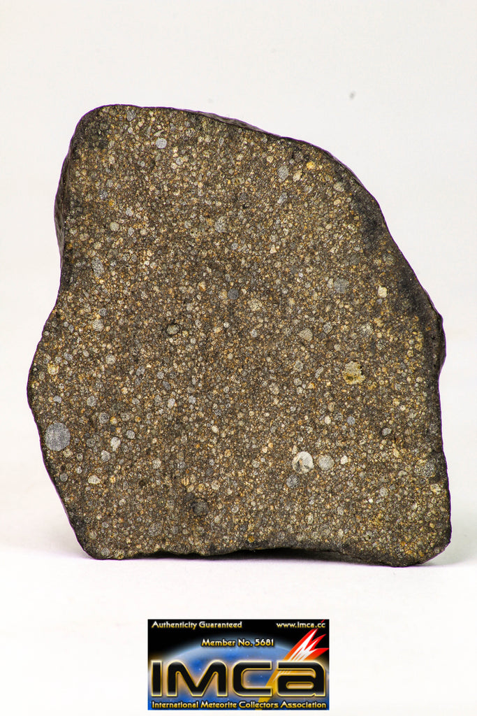 09017 -Top Beautiful NWA End Cut Polished Section of Chondrite Meteorite Type L3  26.8 g