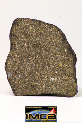 09017 -Top Beautiful NWA End Cut Polished Section of Chondrite Meteorite Type L3  26.8 g