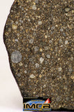 09017 -Top Beautiful NWA End Cut Polished Section of Chondrite Meteorite Type L3  26.8 g