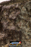 09017 -Top Beautiful NWA End Cut Polished Section of Chondrite Meteorite Type L3  26.8 g