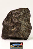 09017 -Top Beautiful NWA End Cut Polished Section of Chondrite Meteorite Type L3  26.8 g