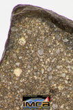 09018 -Top Beautiful NWA Polished Section of Chondrite Meteorite Type L3 with Fusion Crust  26.3 g