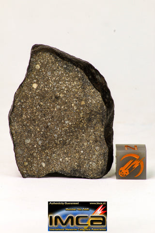 09018 -Top Beautiful NWA Polished Section of Chondrite Meteorite Type L3 with Fusion Crust  26.3 g