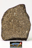 09018 -Top Beautiful NWA Polished Section of Chondrite Meteorite Type L3 with Fusion Crust  26.3 g