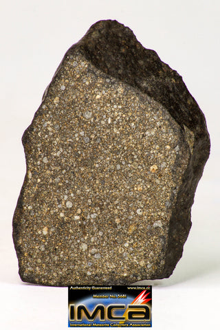 09019 - Top Beautiful NWA Polished Section of Chondrite Meteorite Type L3 with Fusion Crust  22.1 g