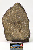 09019 - Top Beautiful NWA Polished Section of Chondrite Meteorite Type L3 with Fusion Crust  22.1 g