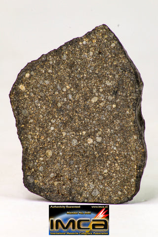 09020 - Top Beautiful NWA Polished Section of Chondrite Meteorite Type L3 with Fusion Crust 16.3 g