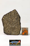 09020 - Top Beautiful NWA Polished Section of Chondrite Meteorite Type L3 with Fusion Crust 16.3 g