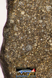 09020 - Top Beautiful NWA Polished Section of Chondrite Meteorite Type L3 with Fusion Crust 16.3 g