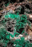 06275 -  Well Crystallized Acicular Brochantite with Quartz from South Morocco