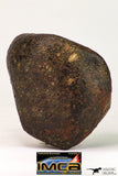 09021 - Complete Oriented NWA Unclassified Ordinary Chondrite Meteorite 155.1 g With Fusion Crust