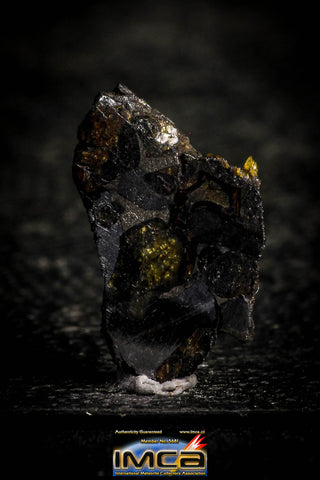 22298 - Sericho Pallasite Meteorite Polished Thin Section Fell in Kenya 1.396 g