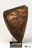 09021 - Complete Oriented NWA Unclassified Ordinary Chondrite Meteorite 155.1 g With Fusion Crust