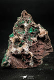 06275 -  Well Crystallized Acicular Brochantite with Quartz from South Morocco
