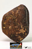 09021 - Complete Oriented NWA Unclassified Ordinary Chondrite Meteorite 155.1 g With Fusion Crust