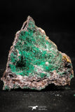 06275 -  Well Crystallized Acicular Brochantite with Quartz from South Morocco