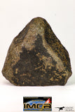 09022 - Complete NWA Unclassified Ordinary Chondrite H6 Meteorite 251.6 g With Fusion Crust ORIENTED