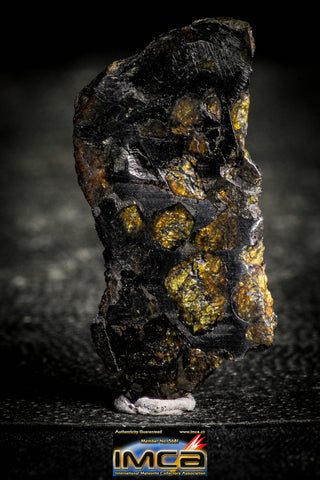 22299 - Sericho Pallasite Meteorite Polished Thin Section Fell in Kenya 10.054 g
