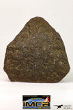 09022 - Complete NWA Unclassified Ordinary Chondrite H6 Meteorite 251.6 g With Fusion Crust ORIENTED