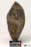 09022 - Complete NWA Unclassified Ordinary Chondrite H6 Meteorite 251.6 g With Fusion Crust ORIENTED
