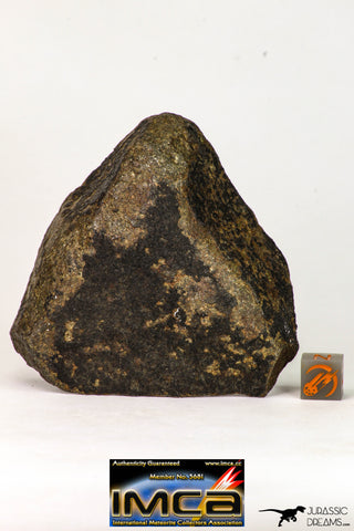 09022 - Complete NWA Unclassified Ordinary Chondrite H6 Meteorite 251.6 g With Fusion Crust ORIENTED