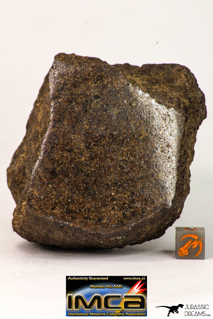 09023 - Complete Specimen With Polished Endcut NWA Unclassified Ordinary Chondrite H3 Meteorite 592.7 g