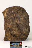 09023 - Complete Specimen With Polished Endcut NWA Unclassified Ordinary Chondrite H3 Meteorite 592.7 g