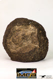 09023 - Complete Specimen With Polished Endcut NWA Unclassified Ordinary Chondrite H3 Meteorite 592.7 g