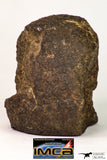 09023 - Complete Specimen With Polished Endcut NWA Unclassified Ordinary Chondrite H3 Meteorite 592.7 g