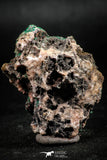 06277 -  Well Crystallized Acicular Brochantite with Quartz from South Morocco