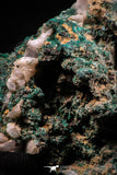 06278 -  Well Crystallized Acicular Brochantite with Quartz from South Morocco
