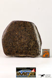 09024 - Polished Endcut NWA Unclassified Ordinary Chondrite H3 Meteorite 63.8 g