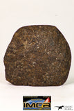 09024 - Polished Endcut NWA Unclassified Ordinary Chondrite H3 Meteorite 63.8 g