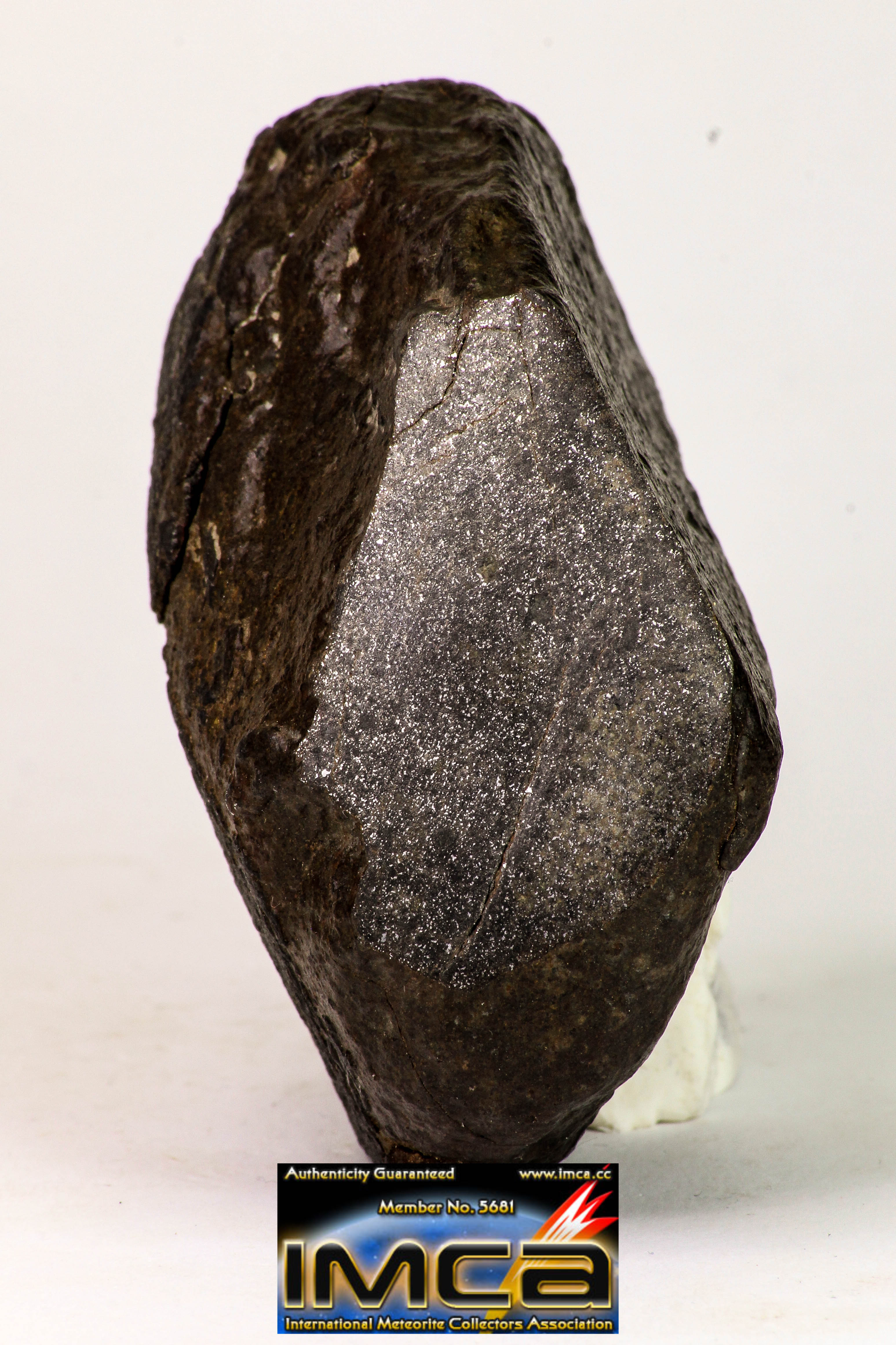 カジュッタ imgrc0105911935.jpg