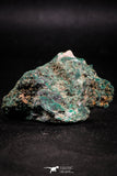 06278 -  Well Crystallized Acicular Brochantite with Quartz from South Morocco