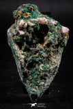 06278 -  Well Crystallized Acicular Brochantite with Quartz from South Morocco