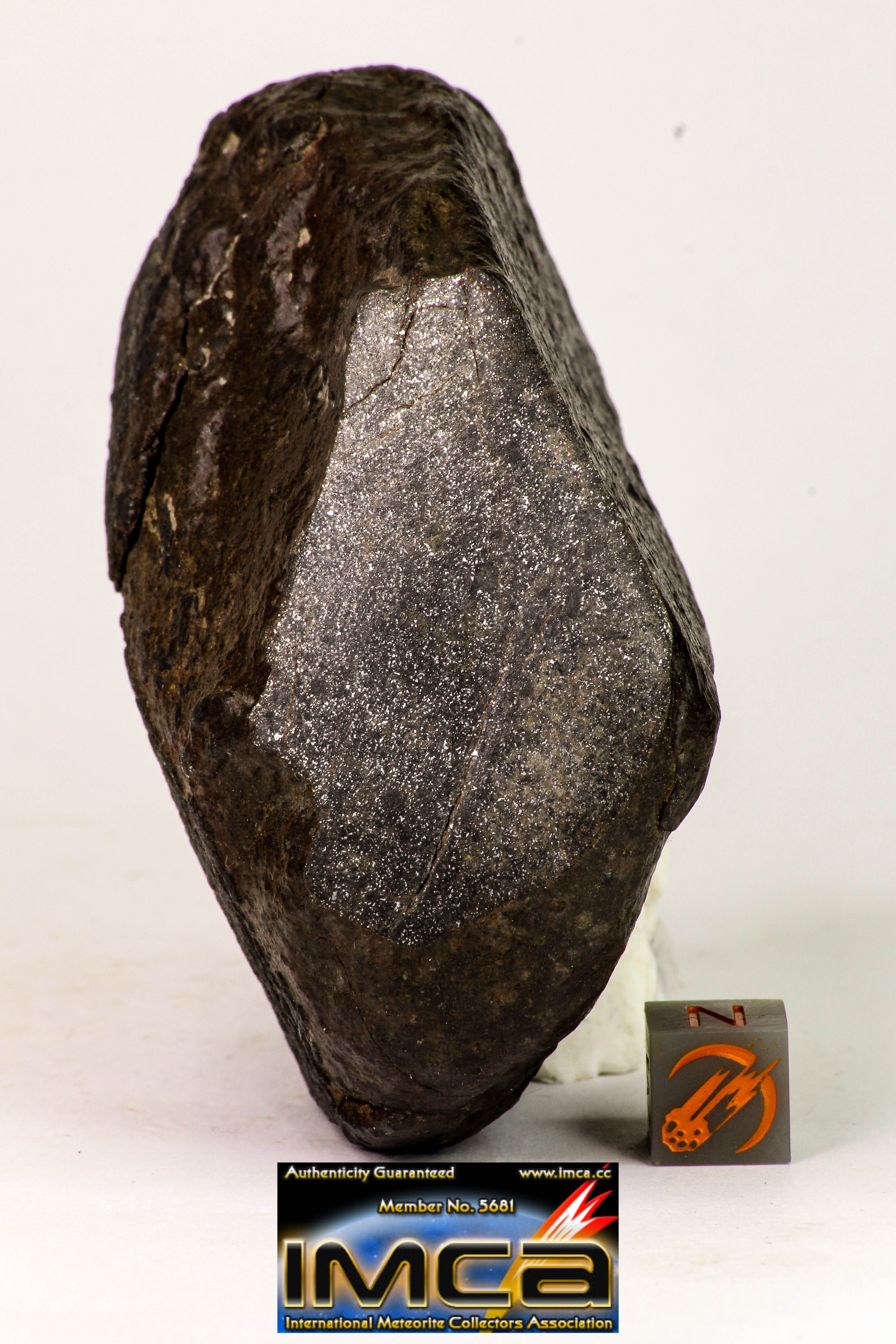 Complete NWA H6 Type Ordinary Chondrite Meteorite with