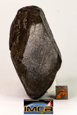 09025 - Complete NWA H6 Type Ordinary Chondrite Meteorite with Fusion Crust & Polished Endcut 430.1g